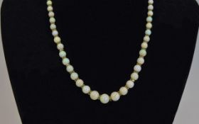 Antique Nice Quality Milk Opal Necklace with 9 ct gold clasp.