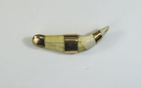 Late 19thC Tiger Tooth Brooch with gold banding. Not marked but tests gold. 3.5 inches in length.