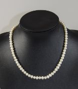 Cultured Pearl Necklace with white gold