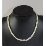 Cultured Pearl Necklace with white gold