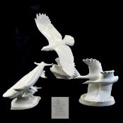 Royal Doulton Images ( White ) of Nature