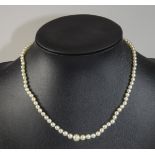 Antique Cultured Pearls