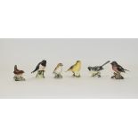 Beswick Collection of Bird Figures ( 6 )