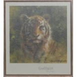 David Shepherd, "Tiger", small limited edition print, 310/1000.