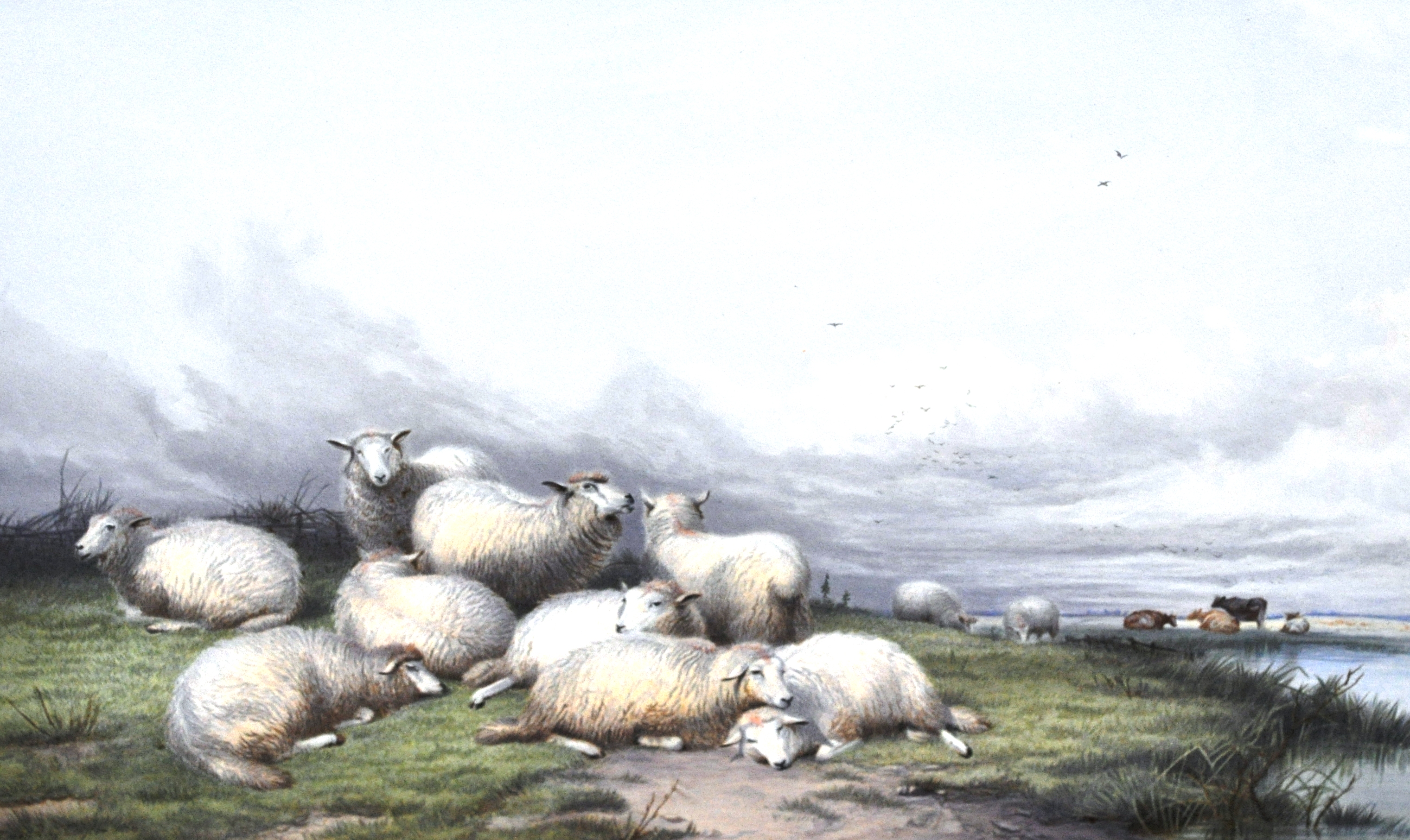 After Thomas Sidney Cooper, Sheep and Cattle Resting, watercolour over a colour print, 30cm x 45cm.