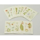 Collection of floral print postcards, ordinance survey maps, (quantity).
