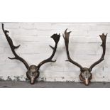 Stag Antler mounted trophy, inscribed 1878 September 5th, 13stone 7pounds, Tibbers Old Castle Bank,
