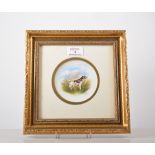 J Barlow, A Pointer, Royal Crown Derby circular plaque, mounted and framed.