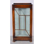 Oak china cabinet, rectangular top, shallow back, glazed door enclosing two shelves, bun feet,