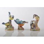 Collection of Royal Worcester matt finish birds, Goldcrest, Great Tit, Blue Tits, Pied Woodpeckers,