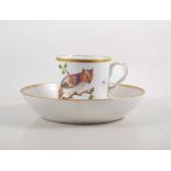 English pottery cup and saucer, decorated with birds of prey and flying insects,