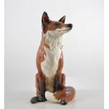 Large Beswick model of a seated fox, 33cm.