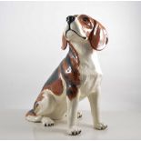 Beswick "Fireside" dog, Beagle No. 2300, 34cm.