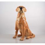 Beswick "Fireside" dog, Labrador No. 2314, 35cm.