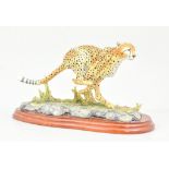 Border Fine Arts "Cheetah" on plinth, length 28cm.