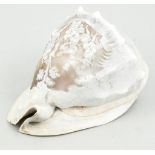 Carved Conch shell, Rape of the Sabine Women, 18cm.