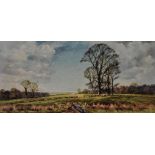 Alwyn Crawshaw, Spring landscape, oil on canvas, signed, 50cm x 100cm.