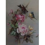 G Webster Sparrow and Bluetit amongst Roses signed oil on canvas 40cm x 31cm.