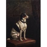 Follower of Maude Earle Terrier seated on a table oil on canvas 61cmX 46cm