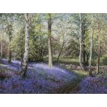 Albert H Findley Swithland Woods, with Bluebells signed watercolour 22cm x 30cm.
