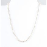 Two cultured pearl necklaces,