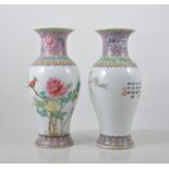 Pair of Chinese baluster shape vases, pink ground collars, decorated with birds and flowers,