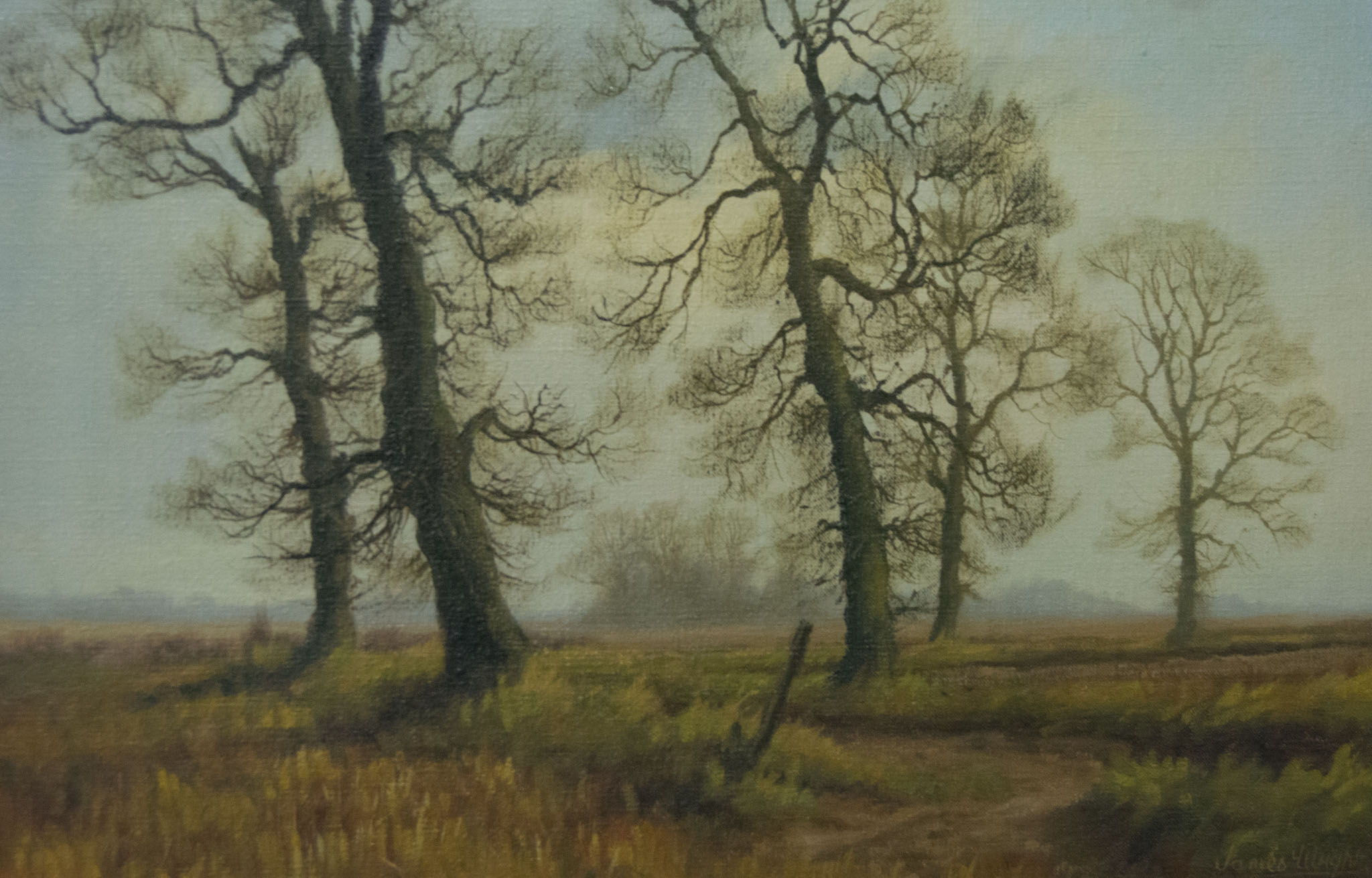 James Wright, Landscape, oil on canvas, "Elm Trees", signed. - Image 2 of 2