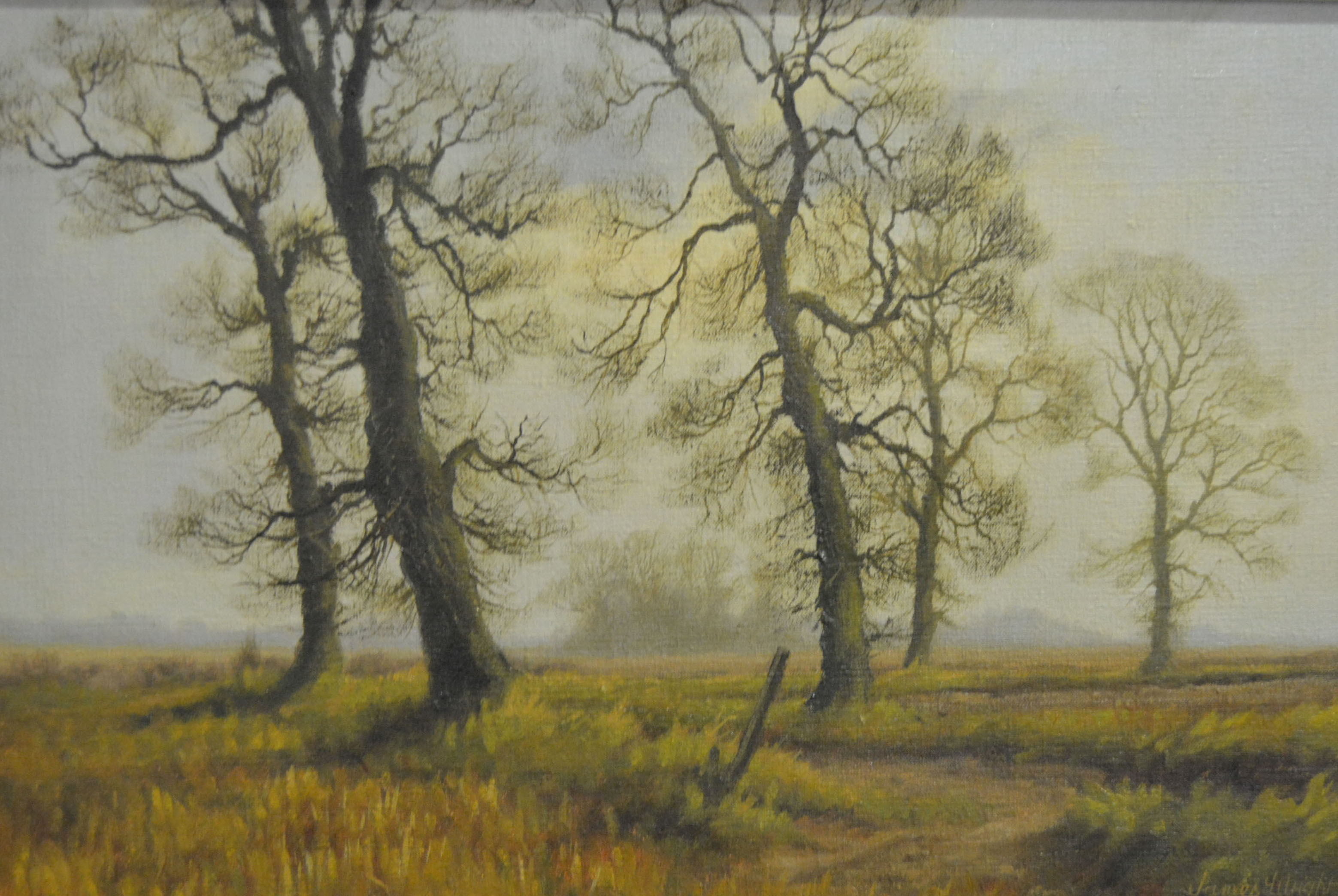 James Wright, Landscape, oil on canvas, "Elm Trees", signed.