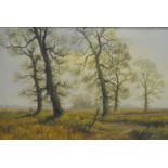 James Wright, Landscape, oil on canvas, "Elm Trees", signed.