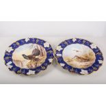 Pair of Royal Crown Derby cabinet plates, Woodcock and Capercailzie, After D. Birbeck.