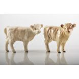 Two Beswick Charolais Calves, 1827B 1985/97.