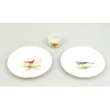 Two Royal Worcester tea plates, painted respectively with a Wagtail and a Wren,