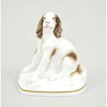 Royal Worcester, 'Springer Spaniel' modelled by Kenneth Potto, factory marks, 9.5cm.