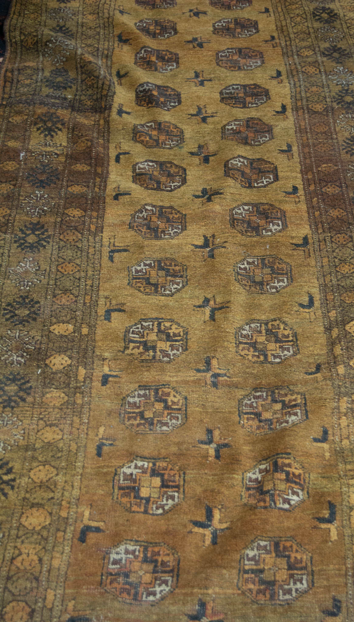 An Afghan runner, the field with two rows of tiles within multiple borders,