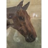 C. Foster oil on canvas, study of a chestnut horse head, signed, 34.5 x 32cms.