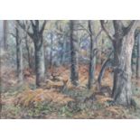 Esme Dorothea Tinne, Fallow Deer in Alice Holt, signed, oil on board, 49cm x 69cm.