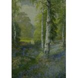 A. H. Findley, watercolour, Bluebell Woods, Swithland, signed.