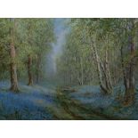 Albert H. Findley, Bluebell Woods, signed, watercolour, 27cm x 38cm.