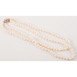 A two row cultured pearl necklace with oval cluster snap, cultured pearls (56) and (59),