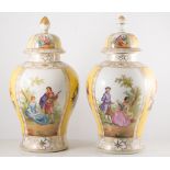 Pair of Dresden baluster vases and covers, alternating panels with figures in a garden and flowers,