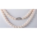 A cultured pearl rope necklace, eighty-five 8.