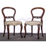 Set of eight Victorian style modern hardwood dining chairs, moulded balloon backs,