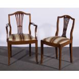 Six modern mahogany dining chairs, upholstered drop-in seats, including two armchairs,