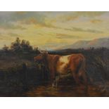 E. Duncan, Cattle by a fence, oil on canvas, signed, 34 x 44cm.