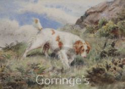 N H 1891watercolour,Study of a spaniel 'Rush' on a hillside, 1891,initialled,7 x 10in.