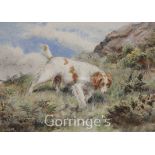 N H 1891watercolour,Study of a spaniel 'Rush' on a hillside, 1891,initialled,7 x 10in.