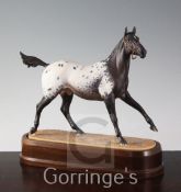 A Royal Worcester model of an Appaloosa Stallion, modelled by Doris Lindner, c.1969, limited edition