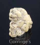 A Japanese ivory netsuke of a shi-shi, Edo period, standing on its haunches with its front paws on a