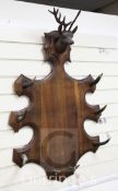 A Black Forest walnut wall mounted hall rack, with stags head cresting and antler hooks, H.3ft 5in.