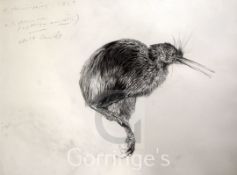 Raymond Harris-Ching (b.1939)pencil drawing,Study of a kiwi,signed and dated 1989,22 x 29in.